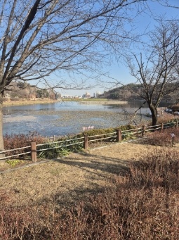 여주 힐링/먹방투어